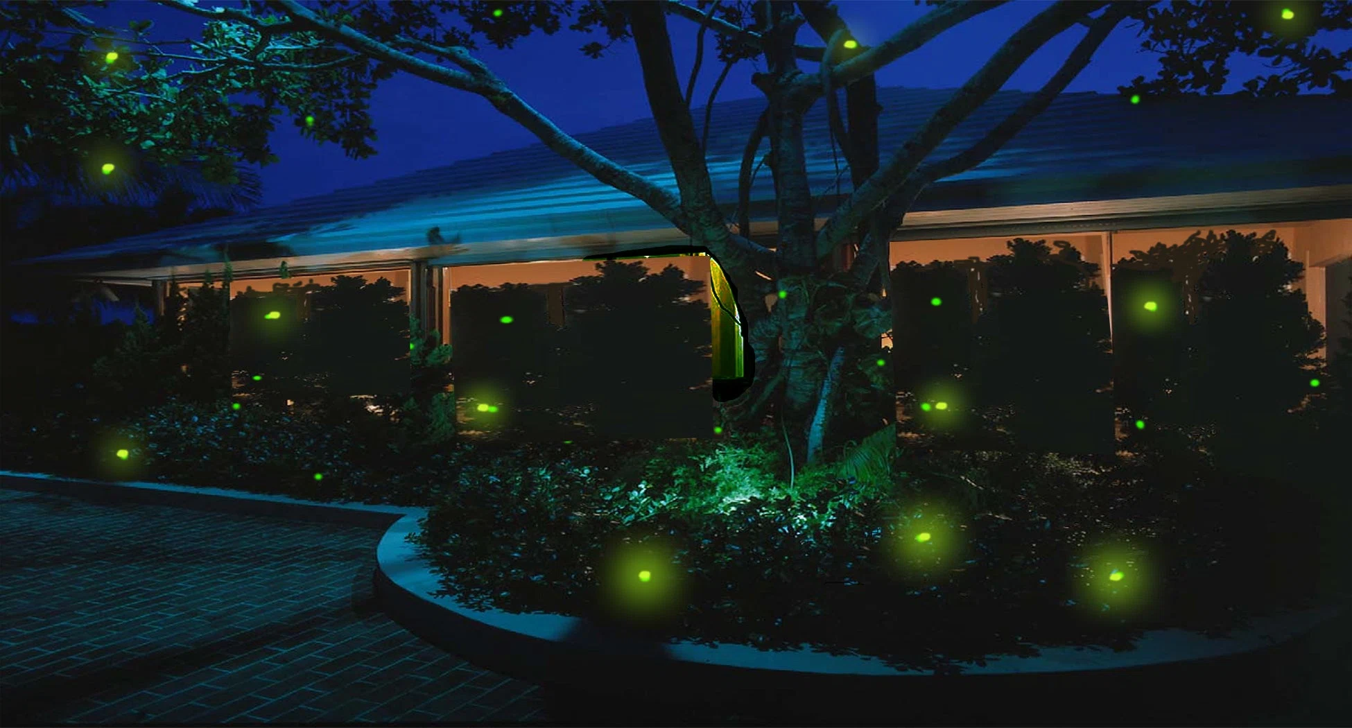 Firefly Magic