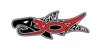FISH307