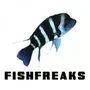 Fish Freaks