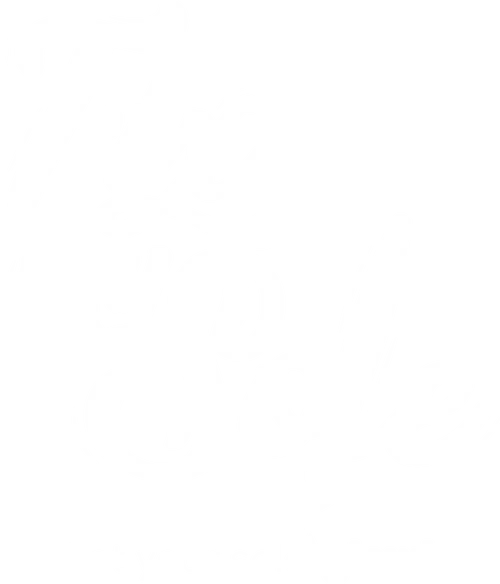 Fix My Sole