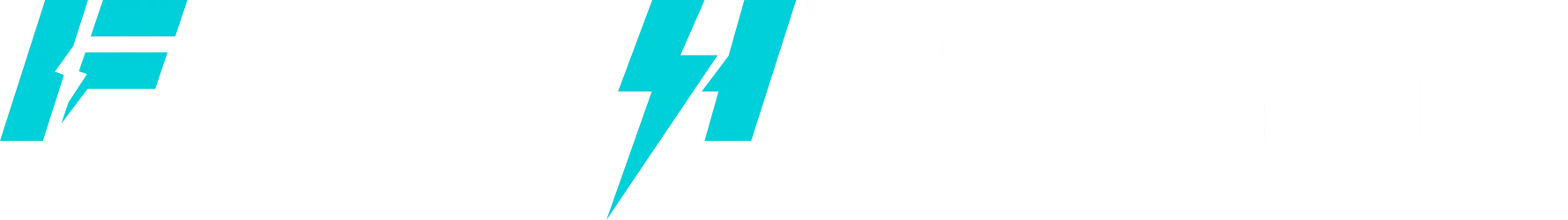 Flashen Pro