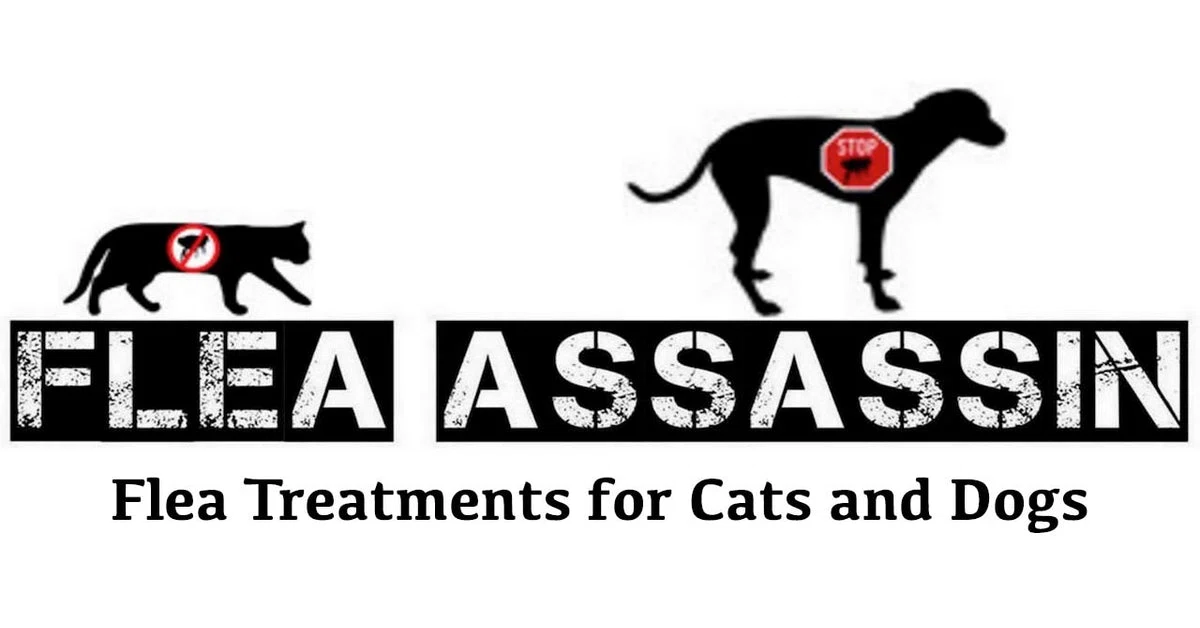 Flea Assassin