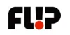 Flip Skateboards