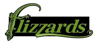 Flizzards