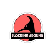 Flocking Around