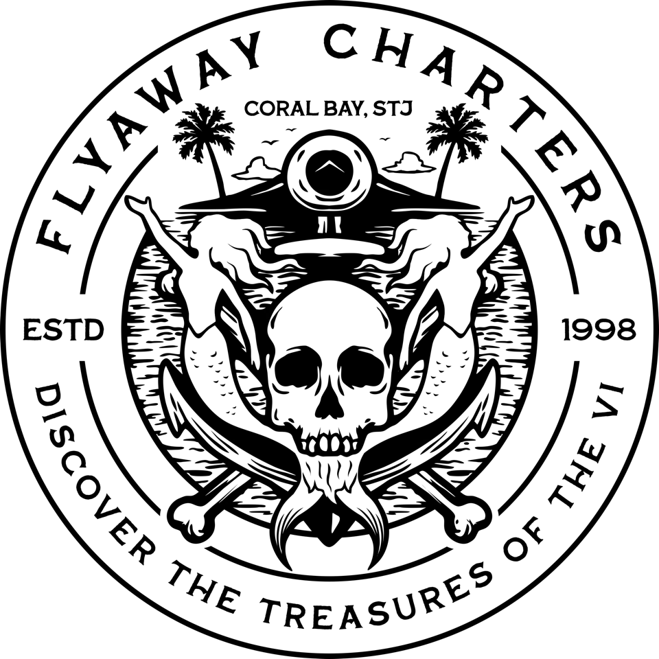 FlyAway Charters VI
