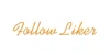 Follow Liker