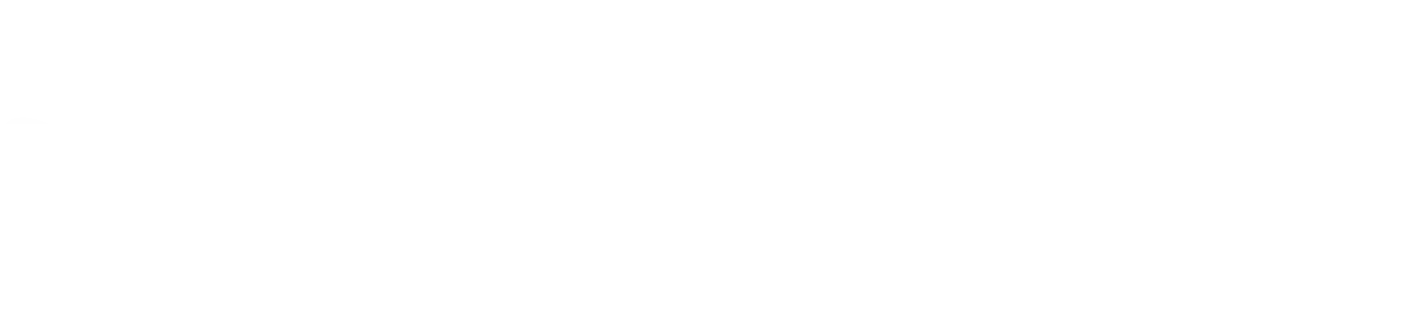 Fonteyn Houston