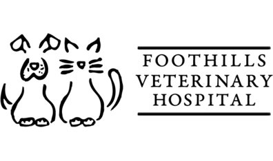 Foothills Veterinary Hospital