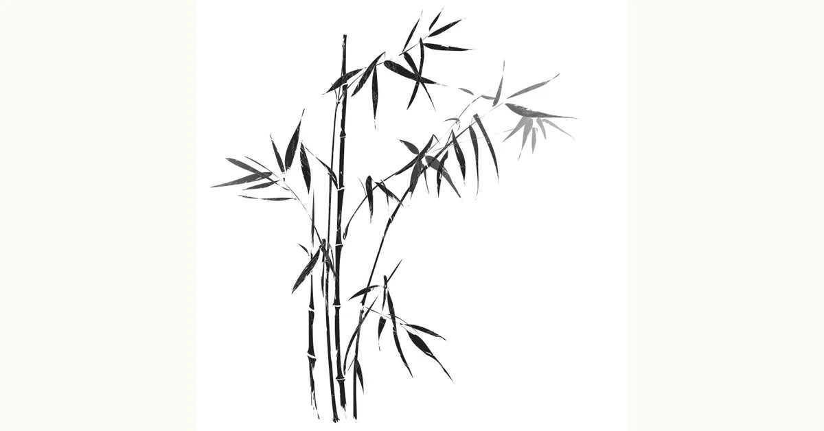 Footprint Bamboo