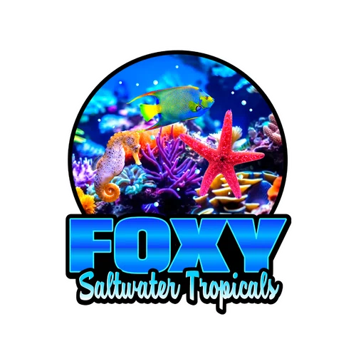 Foxy Saltwater Tropicals