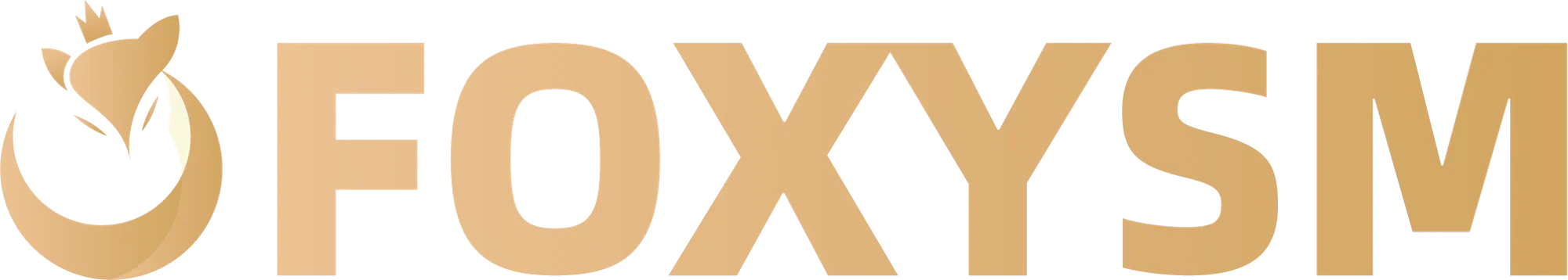 FoxySM Logo for Exclusive Deals
