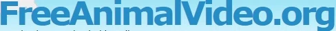 FreeAnimalVideo.org