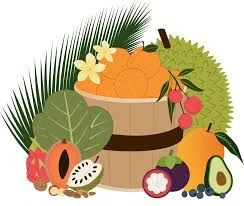 Freedom Fruit Florida