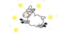 Friendsheep Wool