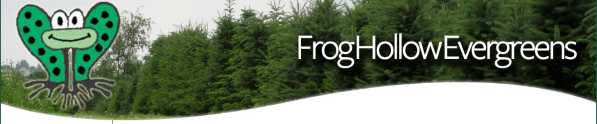 Frog Hollow Evergreens