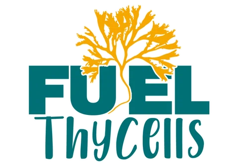 Fuelthycells