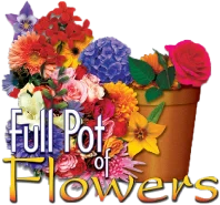 Full Pot of Flowers