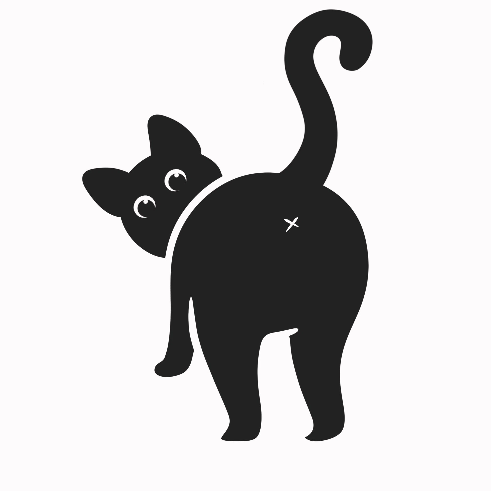 Funny Cat Store