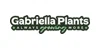 Gabriella Plants