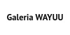 Galeria WAYUU