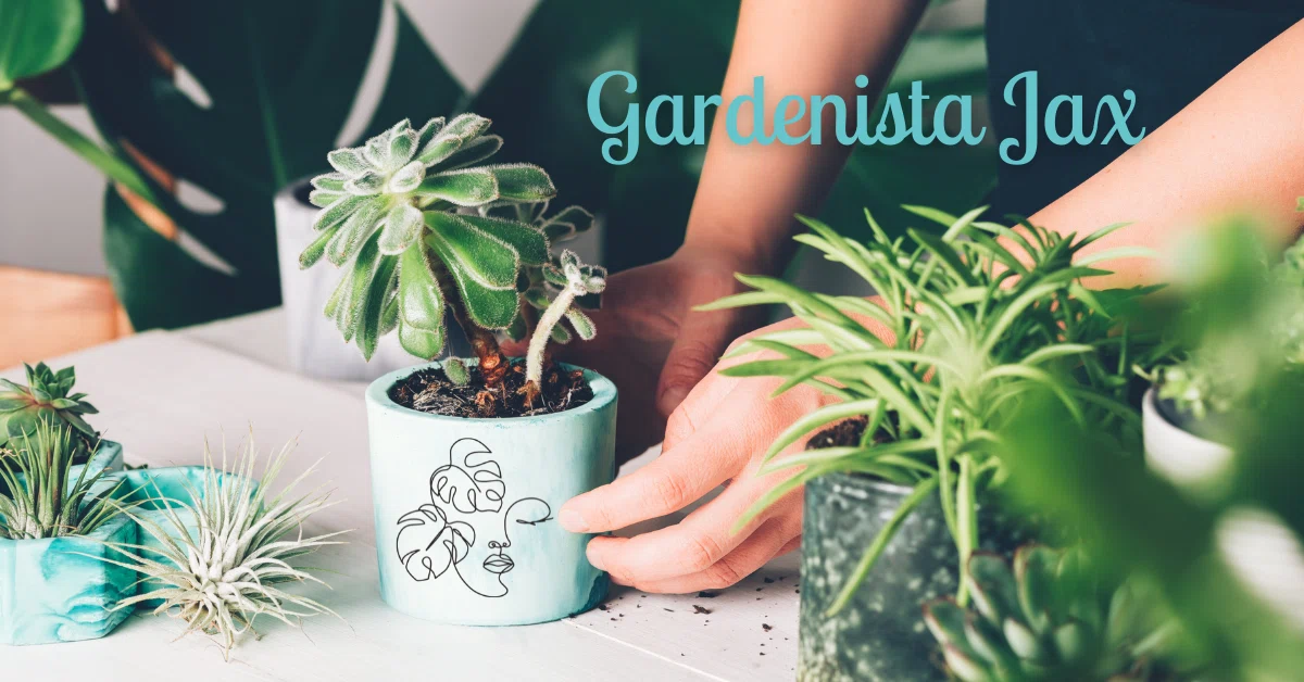 Gardenista Jax