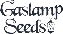Gaslamp Seeds