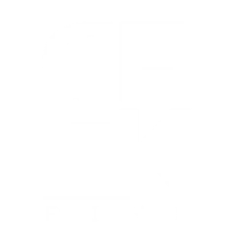 GeekPins