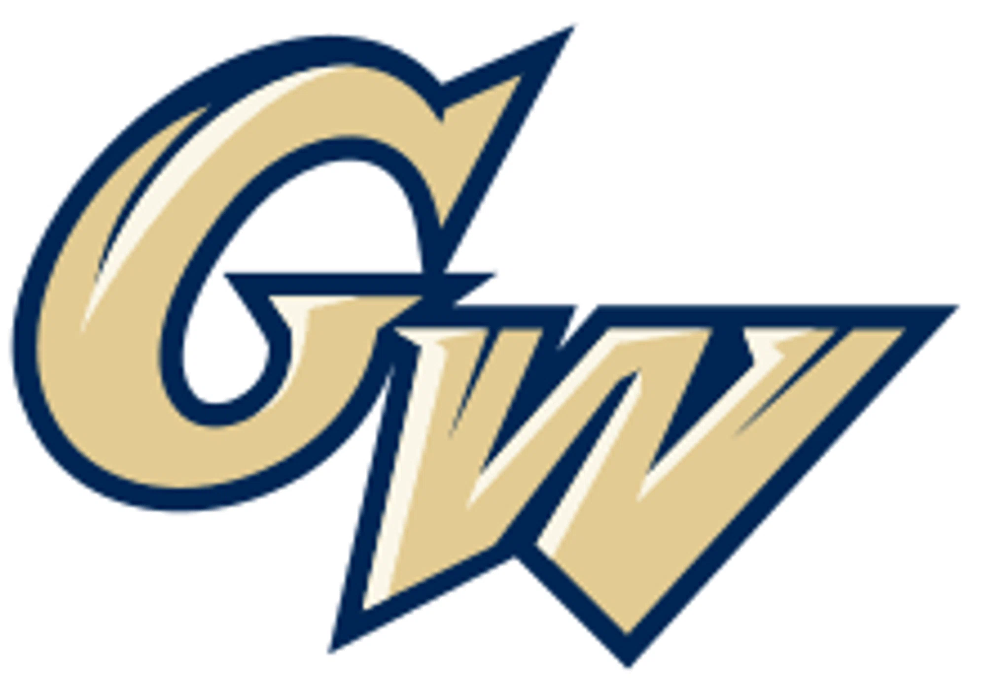 George Washington University