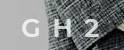 g h 2