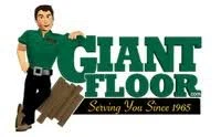 Giant Floor