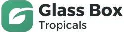 Glass Box Tropicals