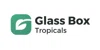 Glass Box Tropicals