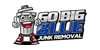 Go Big Blue Junk