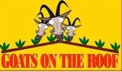Goats on a Roof