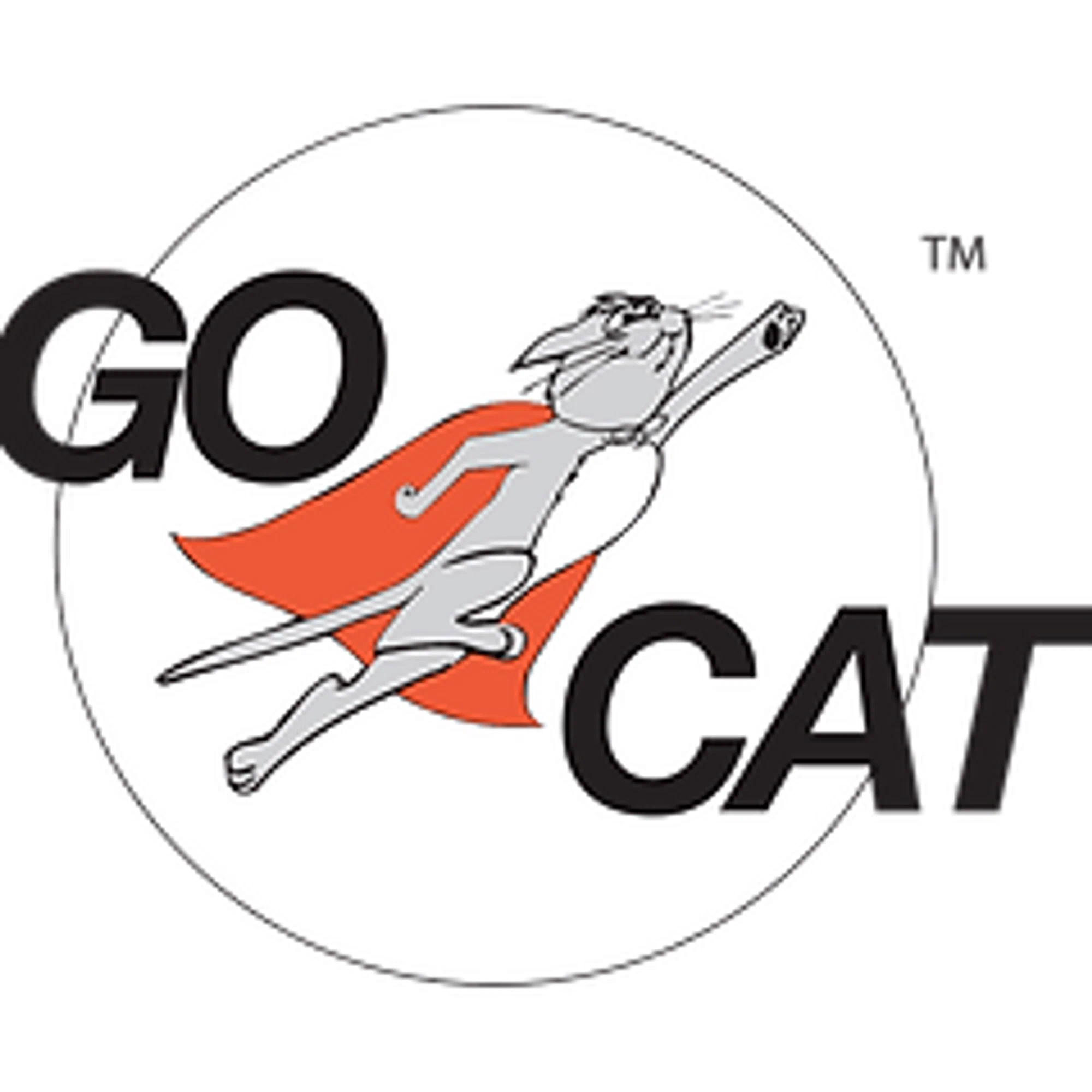 GO-CAT Feather Toys