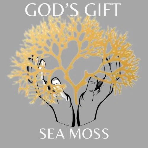God's Gift