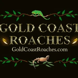 Gold Coast Roaches