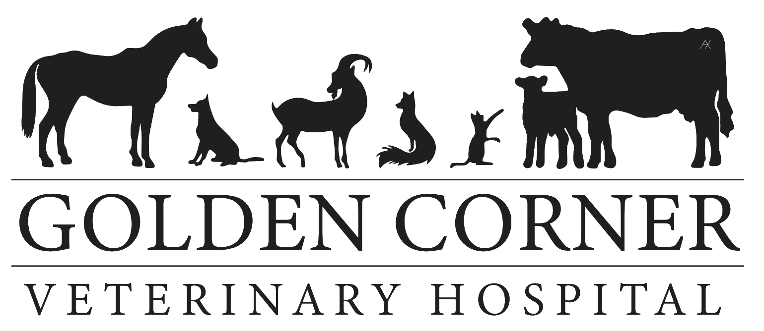 Golden Corner Veterinary Hospital
