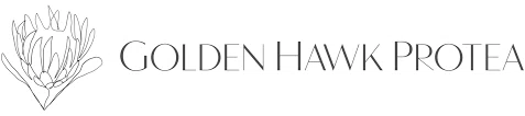 Golden Hawk Protea