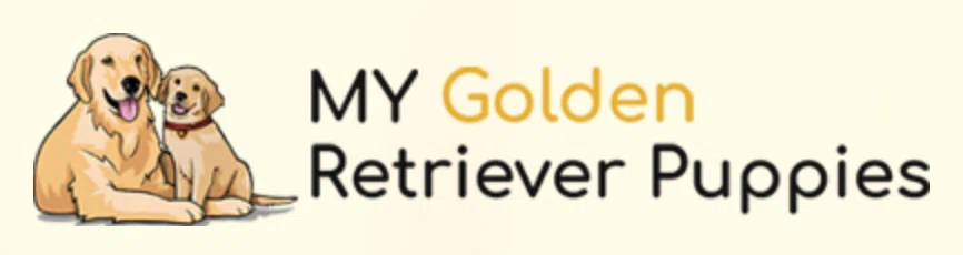 My Golden Retriever Puppies