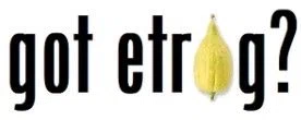 GotEtrog.com