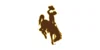 Wyoming Athletics