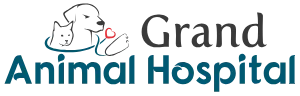 Grand Animal Hospital