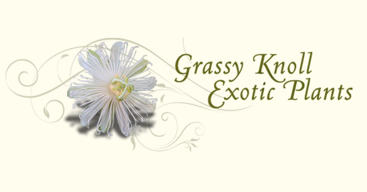 Grassy Knoll Plants