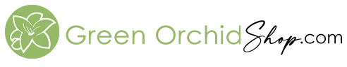 Green Orchid