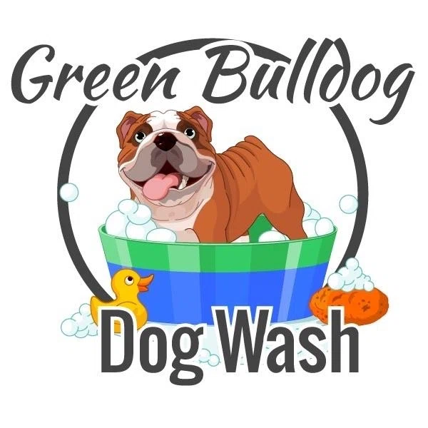 Green Bulldog Dog Was