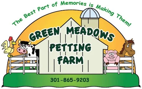 Green Meadows Petting Farm