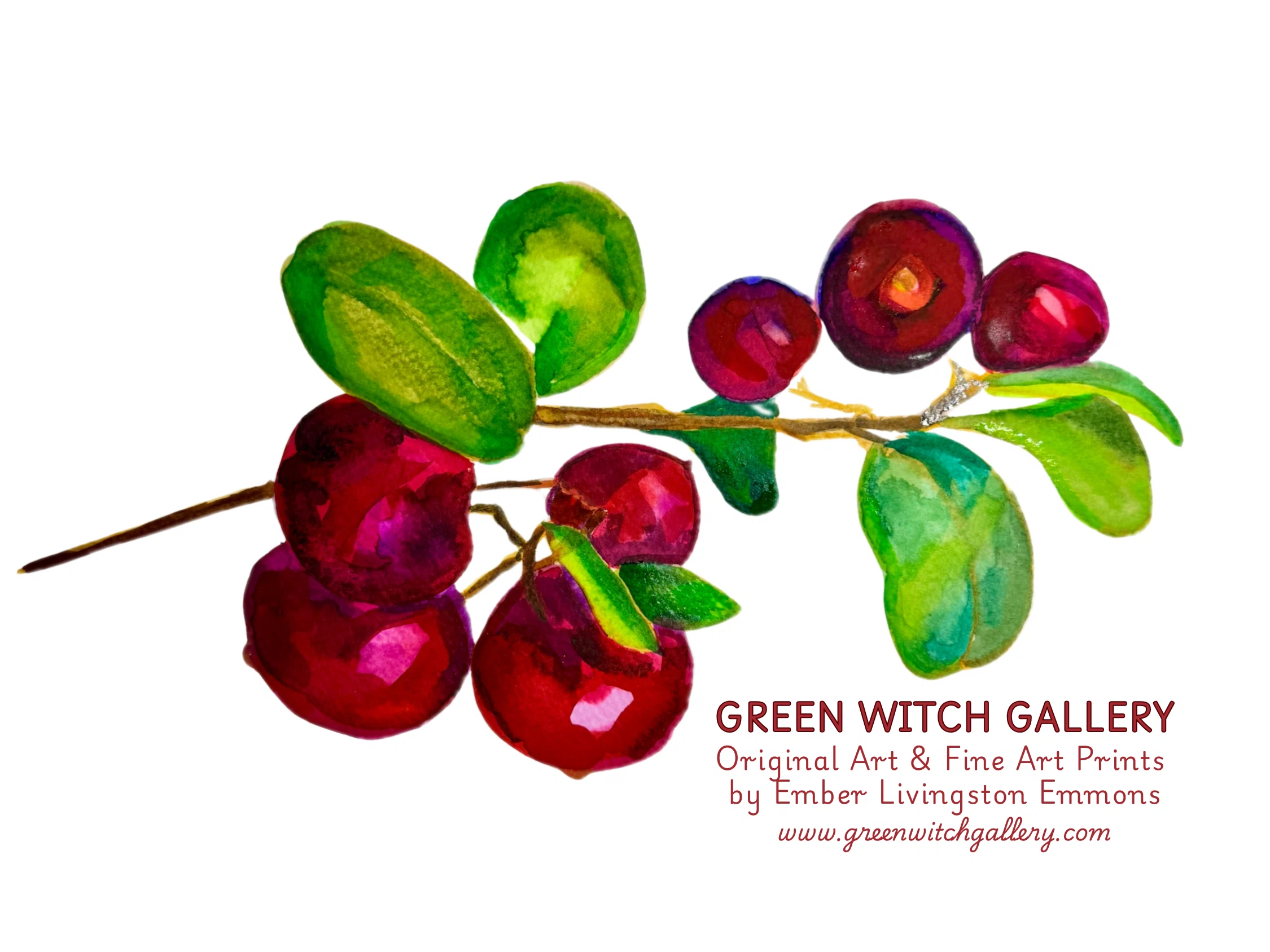 Green Witch Gallery