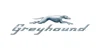 Greyhound